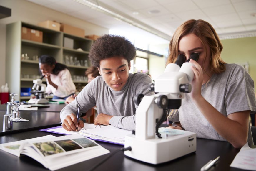 GCSE BIOLOGY