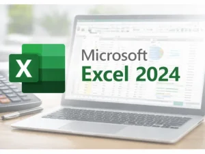 Microsoft Excel 2024