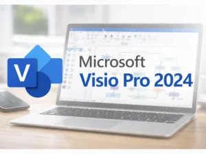 Microsoft Visio Professional 2024