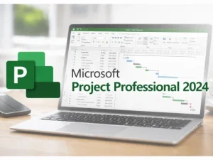 Microsoft Project Professional 2024